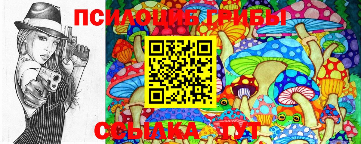 Псилоцибиновые грибы Cubensis  как найти наркотики  Корсаков  Псилоцибиновые грибы прущие грибы  Вход с VPN 