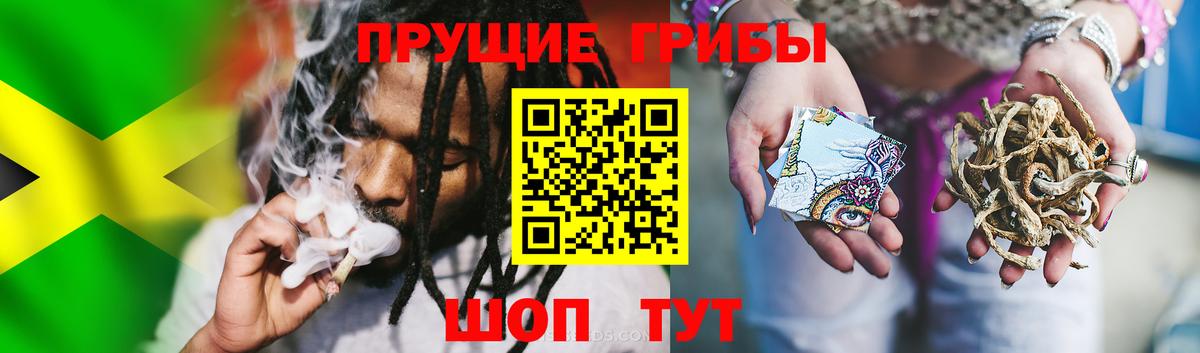 Галлюциногенные грибы мицелий Корсаков